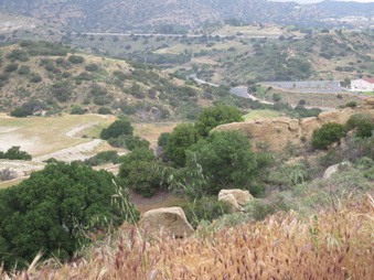Enlarge photo 78