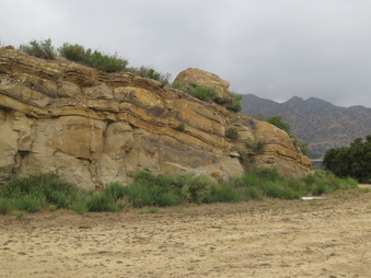 Enlarge photo 79