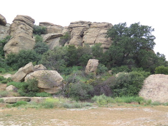 Enlarge photo 36