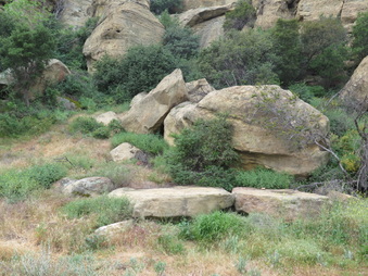 Enlarge photo 37