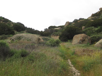 Cliffs