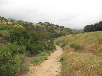 Enlarge photo 9