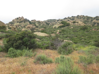 Enlarge photo 13