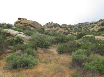 Enlarge photo 12