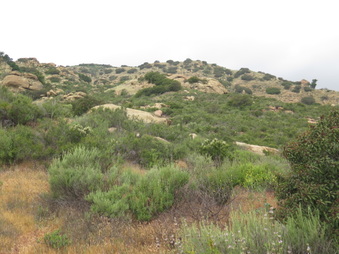 Enlarge photo 14