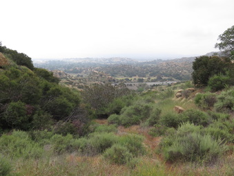 Enlarge photo 15