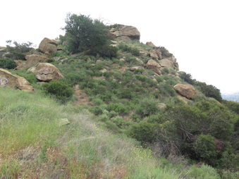 Enlarge photo 16