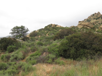 Enlarge photo 18