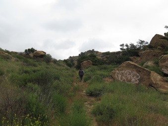 Enlarge photo 17