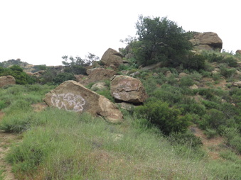 Enlarge photo 19