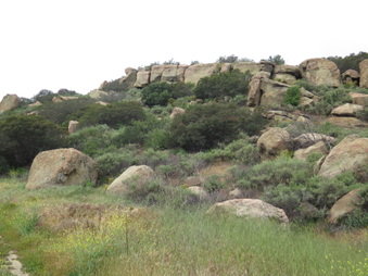 Enlarge photo 2