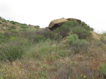 Enlarge photo 21