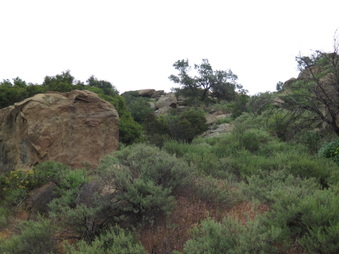 Enlarge photo 20