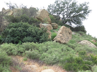 Enlarge photo 22