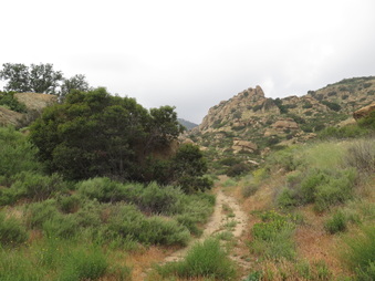 Enlarge photo 26