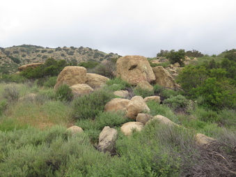 Enlarge photo 25