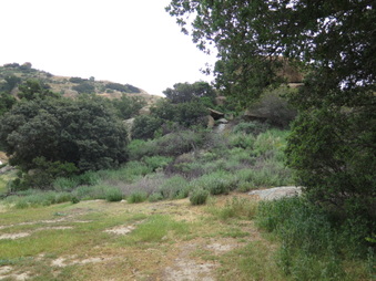 Enlarge photo 27