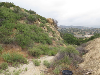 Enlarge photo 28