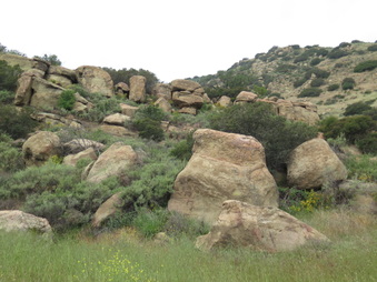 Enlarge photo 3