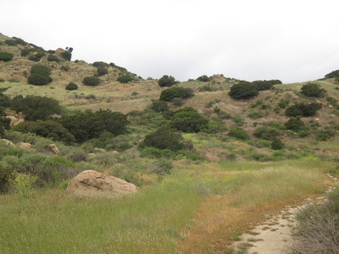 Enlarge photo 5