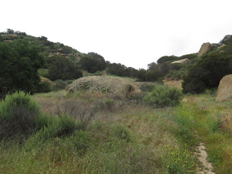 Enlarge photo 4