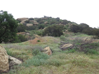 Enlarge photo 6