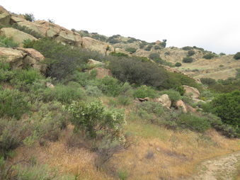 Enlarge photo 10