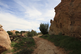 Enlarge photo 92