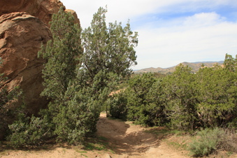 Enlarge photo 91