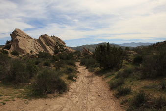 Enlarge photo 83