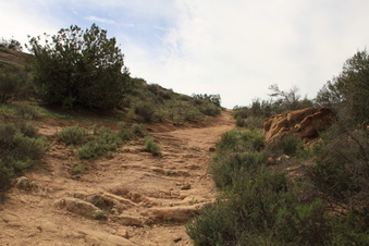 Enlarge photo 81