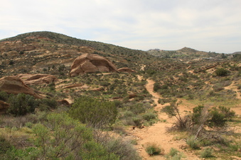 Enlarge photo 75