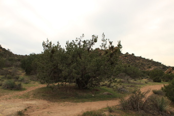 Enlarge photo 74