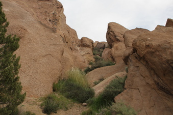 Enlarge photo 66