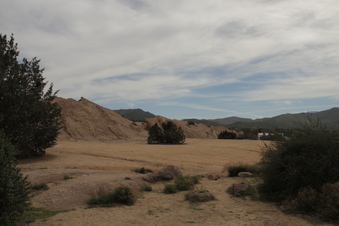 Enlarge photo 65