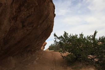 Enlarge photo 48
