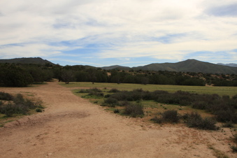 Enlarge photo 43