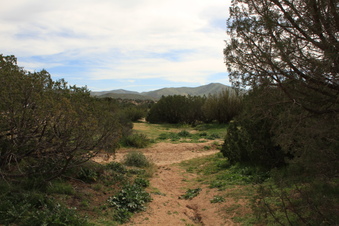 Enlarge photo 37