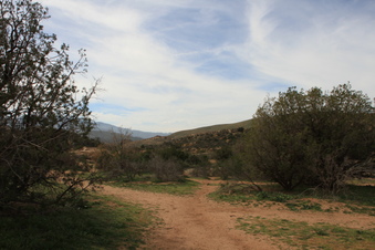 Enlarge photo 36