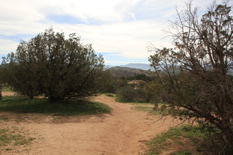 Enlarge photo 35