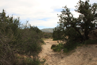 Enlarge photo 33