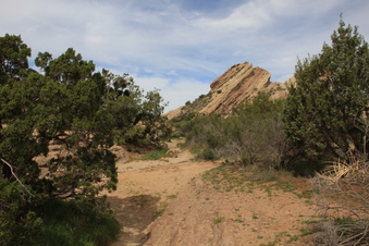 Enlarge photo 32