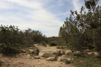 Enlarge photo 31