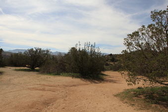 Enlarge photo 28