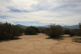 Enlarge photo 27
