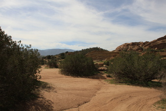 Enlarge photo 25