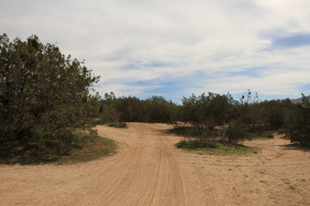 Enlarge photo 23