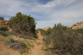 Enlarge photo 21