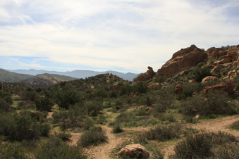 Enlarge photo 20