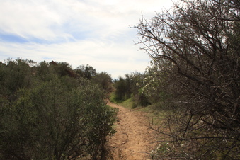 Enlarge photo 19